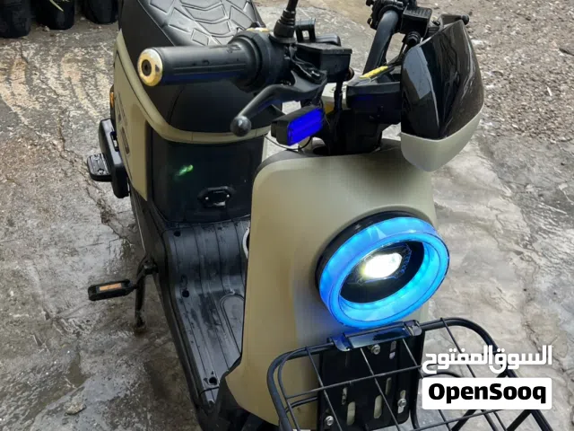 2025 اخرى اخرى