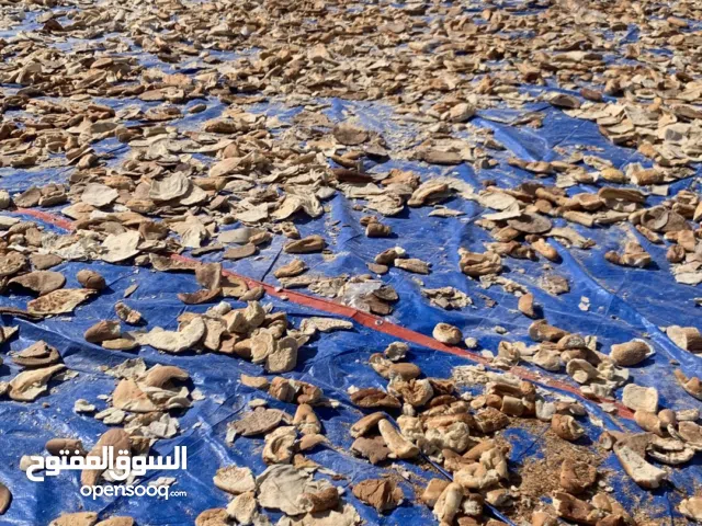 خبز ناشف ممتاز