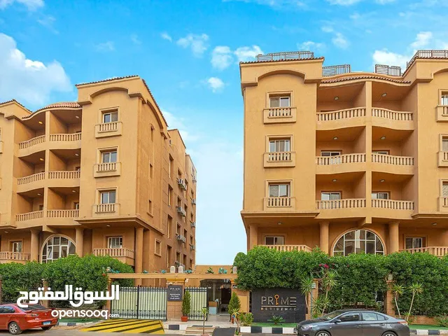 محمد محمود 342