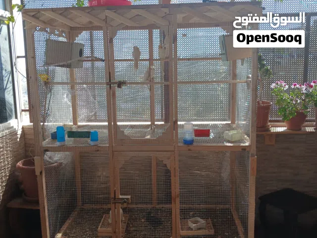 مطير كوكتيل وجاج