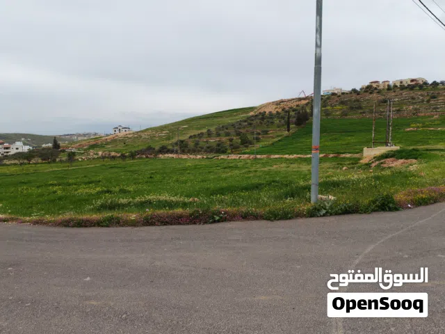 Residential Land for Sale in Amman Shafa Badran
