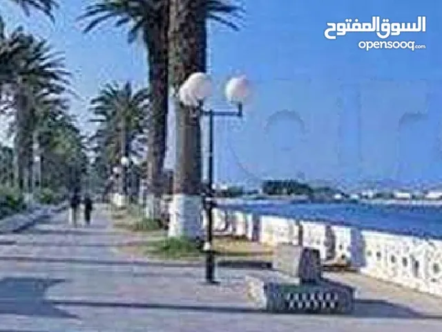 شقة فخمة مفروشة جيدا في المرسى  تونس العاصمة