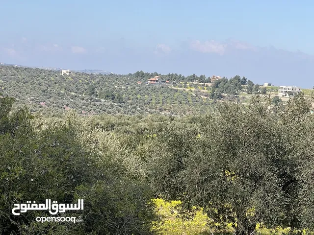 Mixed Use Land for Sale in Jerash Other