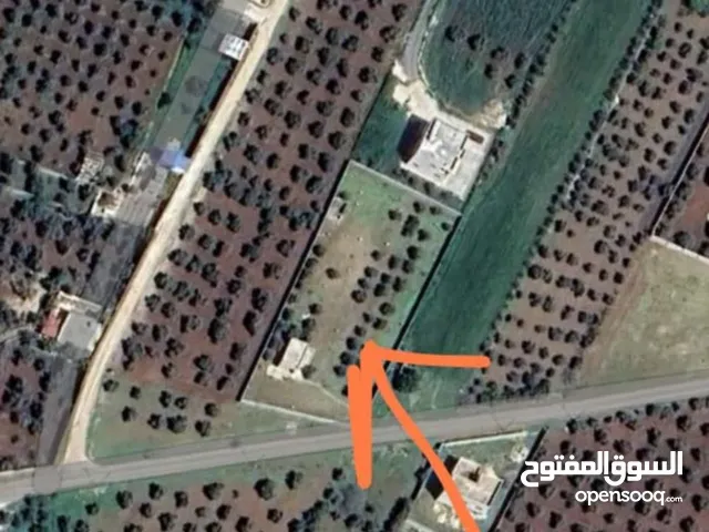 Farm Land for Sale in Amman Naour