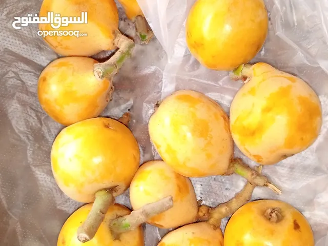 اسكادنيا للبيع اسكادنيا