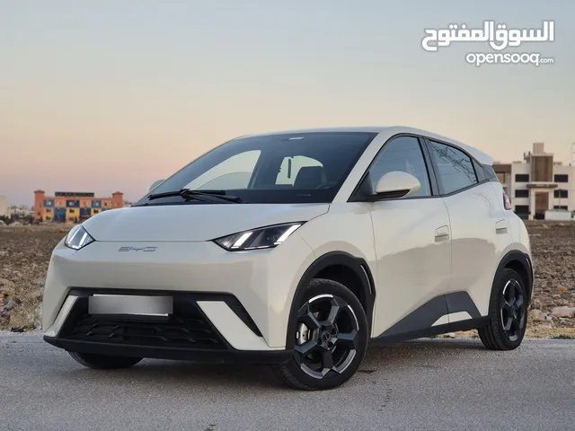 Used BYD Seagull in Irbid