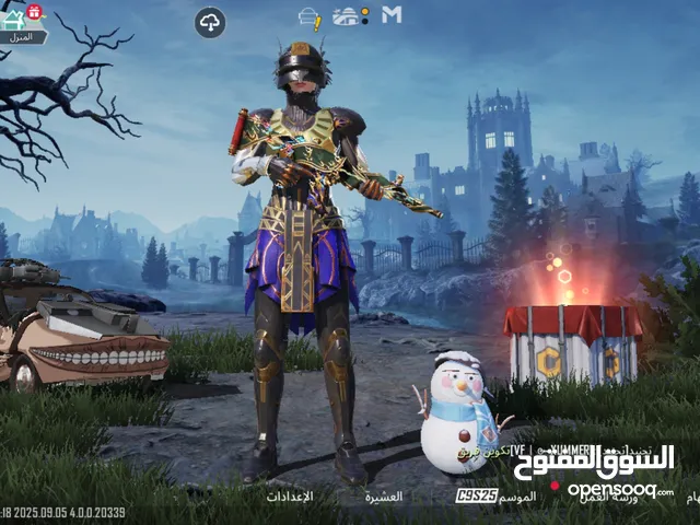 Pubg Accounts and Characters for Sale in Al Bayda'