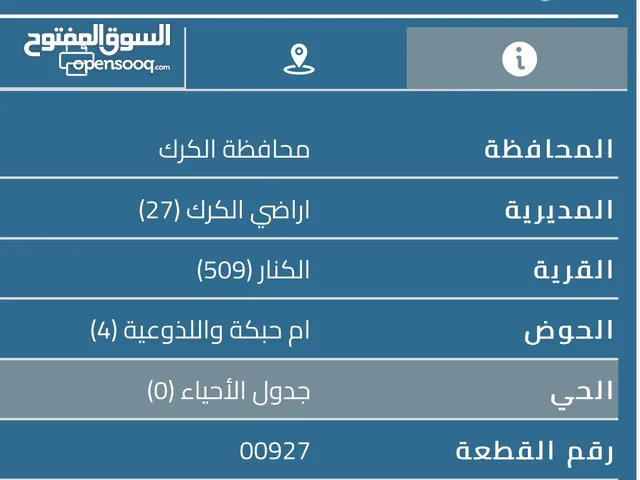 Residential Land for Sale in Al Karak Manshiyyet Abu Hammour