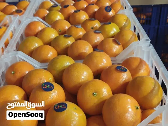 شريك مشروع مربح تصدير