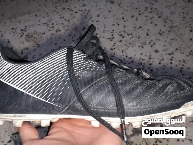 38 Sport Shoes in Setif