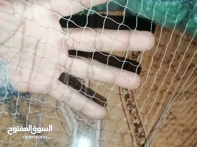لياخ المران والصيمه الصغيره