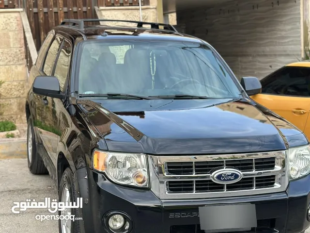 Used Ford Escape in Amman
