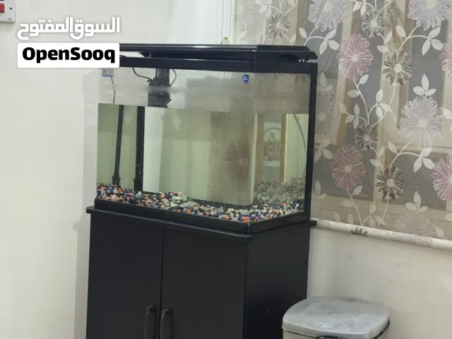 حوض سمك جاهز نظافة 100%
