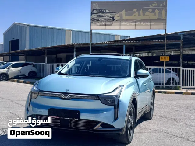 2022, Neta, U, Pro 400