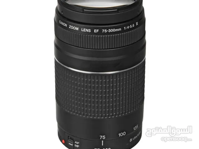 Canon 75-300mm lens