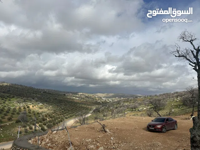Farm Land for Sale in Zarqa Sarout