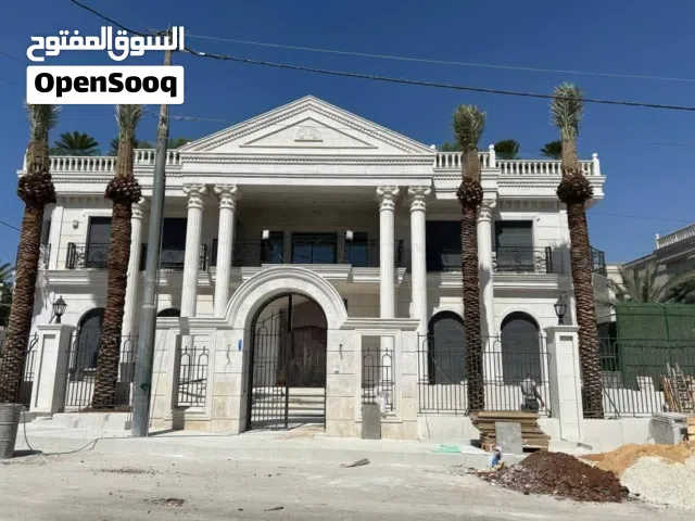 افضل انواع النخيل الزينة  افضل انواع النخيل المثمر