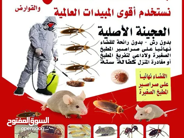 شركة مكافحة حشرات وقورض ارخص الاسعار مبيدات انجليزية والمانيه والعجينه الاصليه كفاله سنه مكافحة نمل