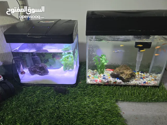 احواض سمك مع جميع الوازم