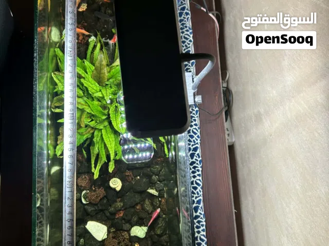 حوض سمك بجنن اقرأ الوصف ضروري