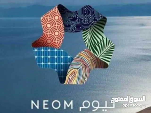 مساح عام في تبوك