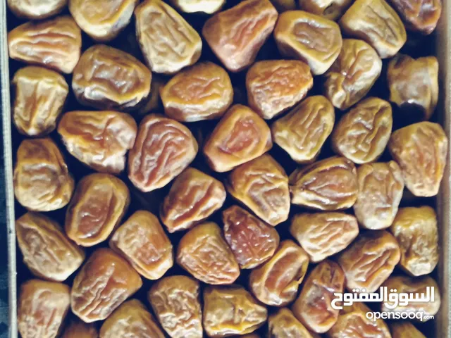 فاخره تمر مفتل جمله-بالكرتون