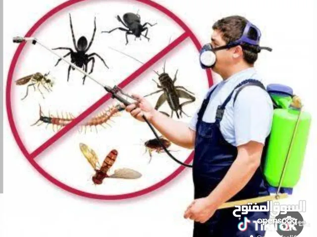 #خدمه تعقيم ورش للحشرات مكاتب وصيدليات ومحلات