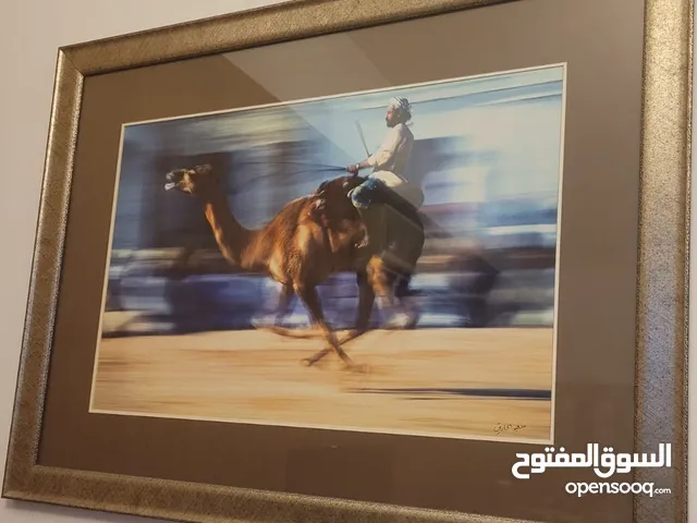 Beautiful Camel Rider in Camel Race