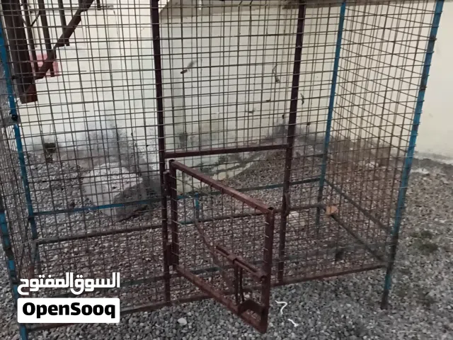 قفص للبيع بأقل قيمه ينفع لجميع الطيور