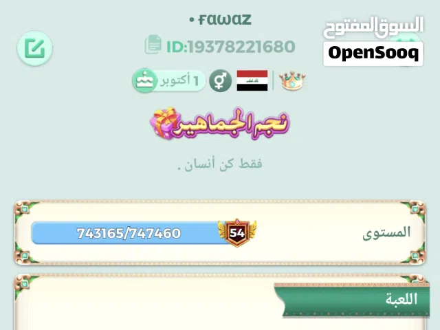 حساب لودو جاهز