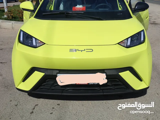 Used BYD Seagull in Jerash