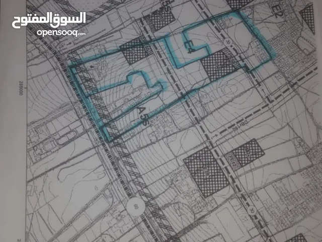 أرض للبيع طريق الجديدة دار 16العيراقي