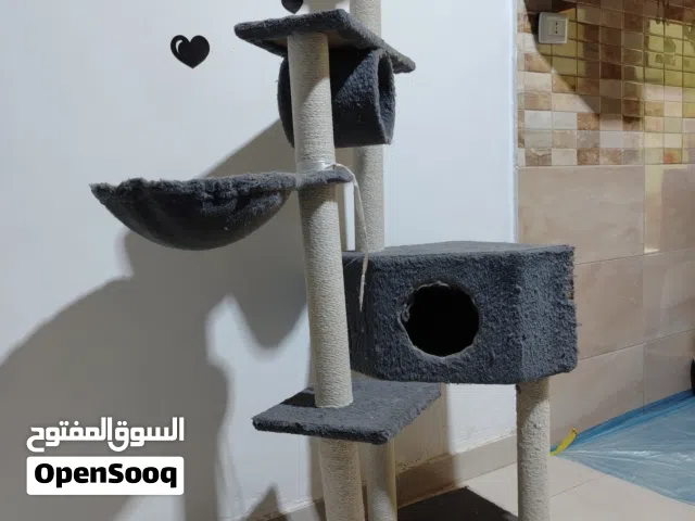 شجرة قطط حجم كبير