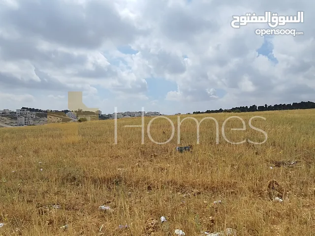 Residential Land for Sale in Amman Marj El Hamam