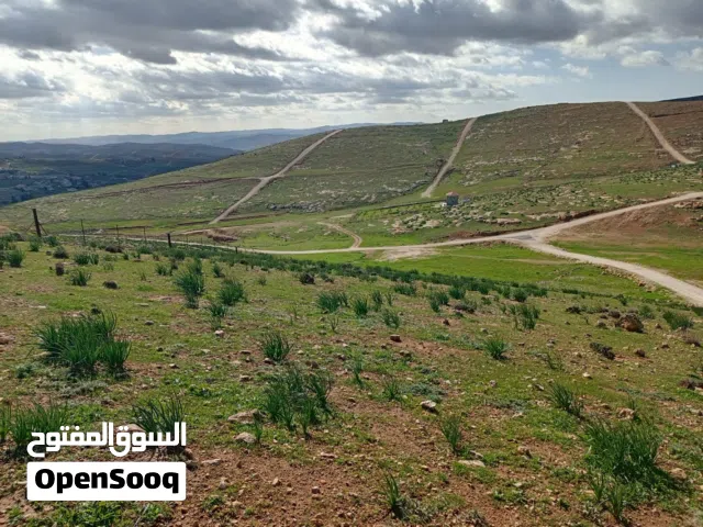 عقاري اراضي للبيع