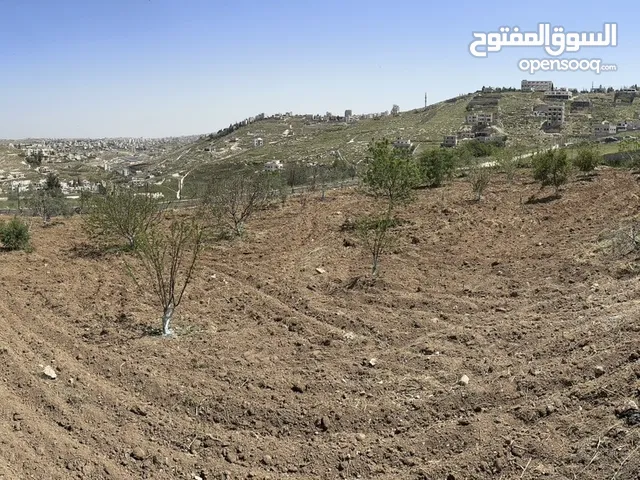 Mixed Use Land for Sale in Bethlehem Jabal Hindaza
