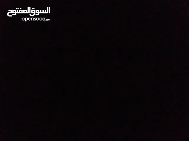ارانب للبيع فرنسي