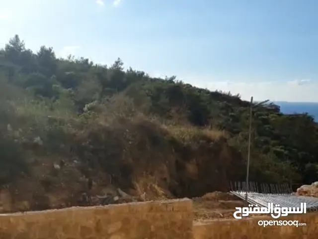 145 m2 4 Bedrooms Apartments for Sale in Aley Aaramoun