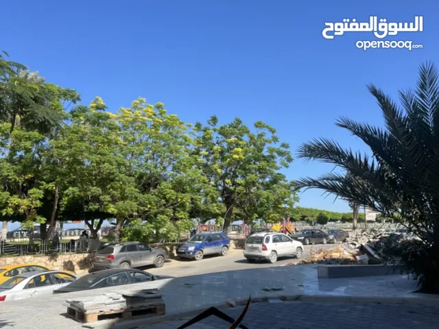 شقتين للبيع في شارع البلاصات الايطالي يوجد دور ارضي ودور 2 شاهد الوصف