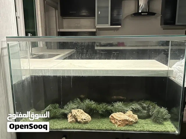 حوض سمك كبير