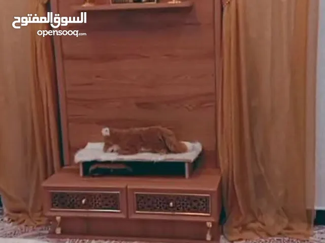 بردة قطعتين نضيفة جدا