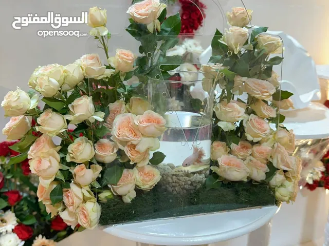 هديتي جده اللهدايا