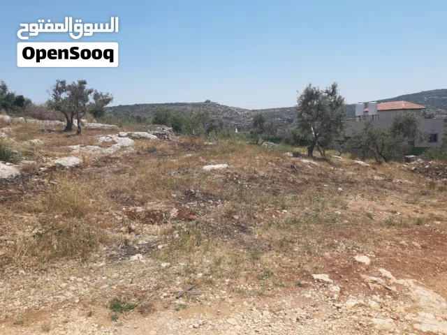 Residential Land for Sale in Jenin Qabatiya