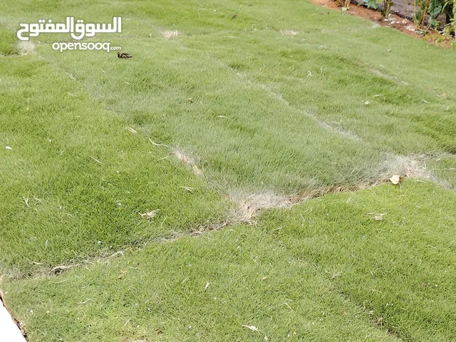 قص ثيل وتوريد وتركيب ثيل طبيعي