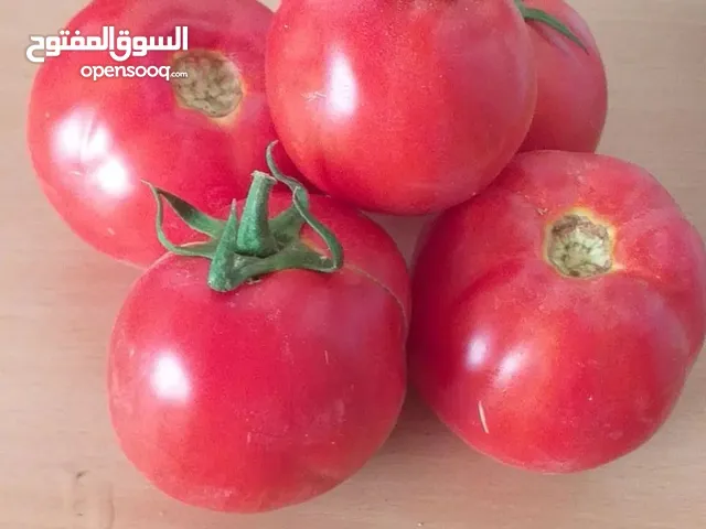 طماطم ايرانيه من اجود انواع الطماطم خاصه لي اخواني العراقين الاعزاء