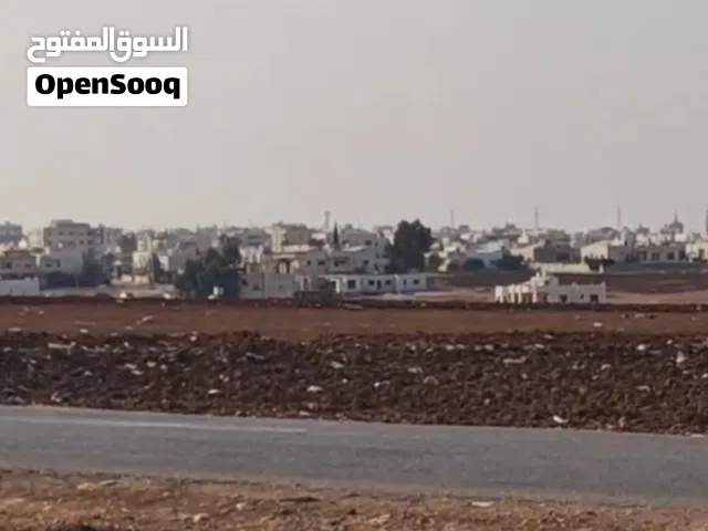 ارض في الصريح للبيع