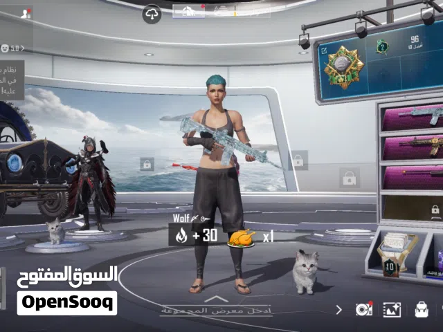 Pubg Accounts and Characters for Sale in Manama
