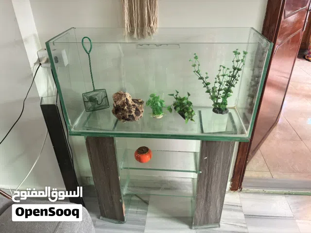 حوض سمك للبيع السعر 20 دينار قابل للتفاوض معاه حجار لون ازرق و حجر كبير و فلتر و هيتر