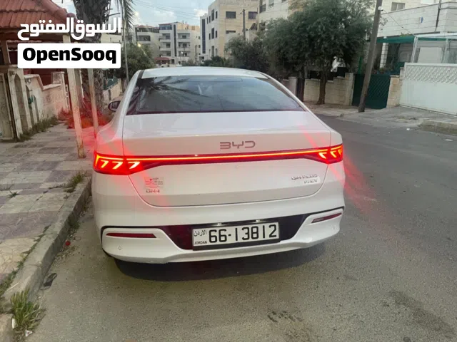 2026 بي واي دي كين