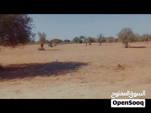 اراضي للبيع